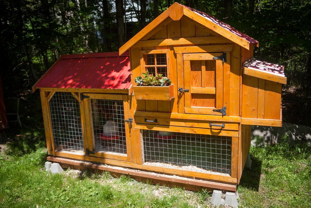 La Chaumiere De L'Anse Bed & Breakfast Монт-Тремблант Екстериор снимка